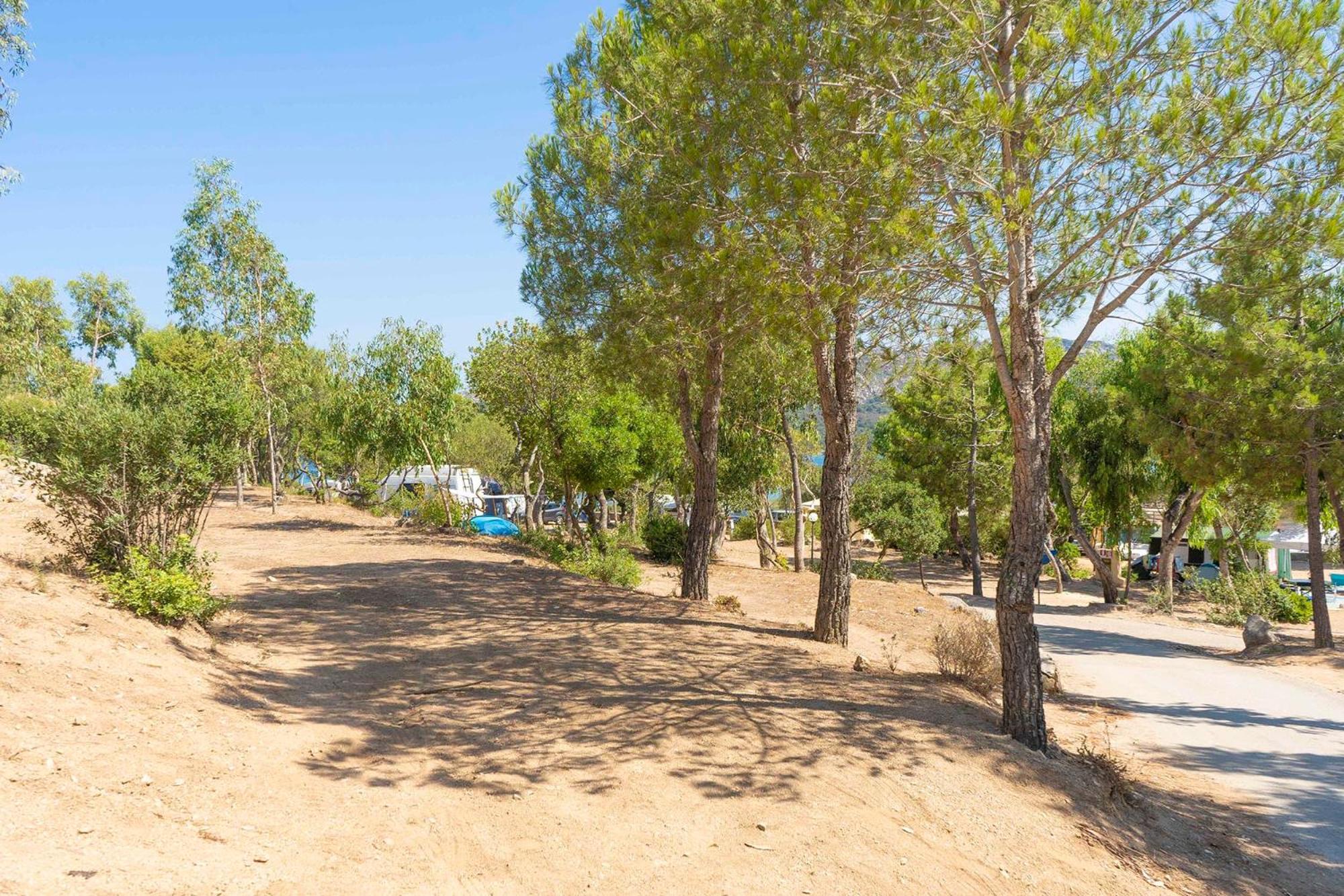 Camping Village Capo D'Orso Palau Exteriör bild